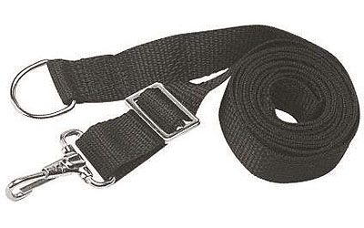 Boat buckle snap-lock boat cover tie down