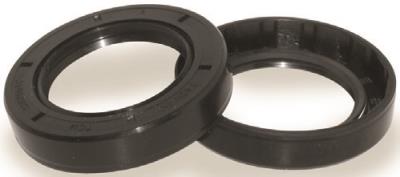 Tie down engineering bearing seal triple lips