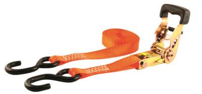 Erickson ratcheting tie-downs