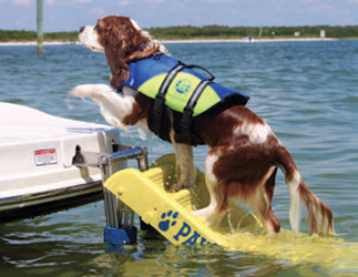Yamaha marine rigging & parts doggy boat ladder by paws aboard