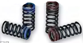 Cv4 valve spring kits