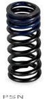 Cv4 valve springs