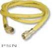 Race tech nitrogen gauge and hose