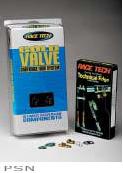 Race tech gold valve fork kits