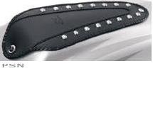 Mustang fender bibs