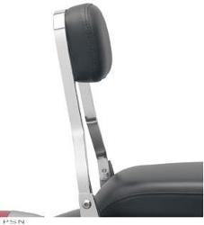 Cobra sissy bars