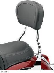 Cobra sissy bars