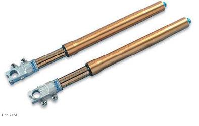 Ohlins road and track forks