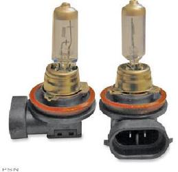 Bluhm enterprises brite lites