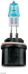 Bluhm enterprises brite lites