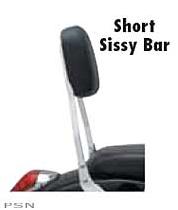 Cobra™ sissy bars