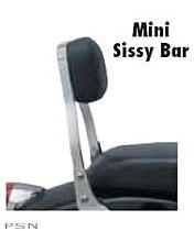 Cobra™ sissy bars