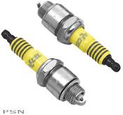 Accel® platinum spark plugs