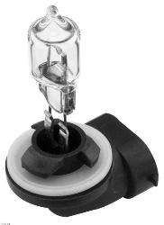 Candlepower 894 halogen bulb