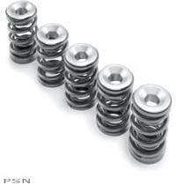 Hotcams™ valve spring kit