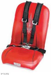 Beard seats safety harness