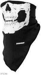 Schampa™ lightweight skull facemask