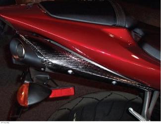 Carbon fiber works exhaust guards