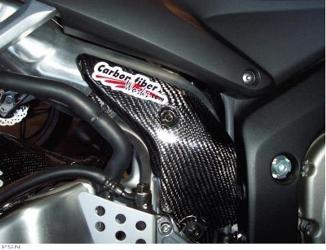 Carbon fiber works exhaust guards