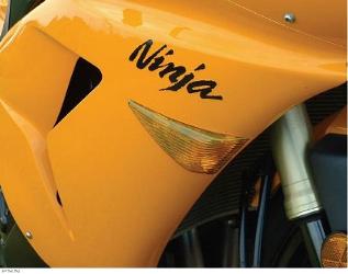 Clear alternatives colored turn signal lenses
