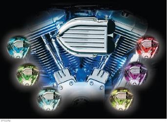 Kuryakyn  lizard lights accessory kits