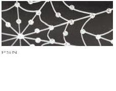 Bobster action eyewear / highway honeys vixen