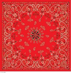 Zan headgear™ bandannas