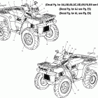 SPORTSMAN 500 ALL OPTIONS - A02CH50 Наклейки