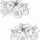 XPLORER 300 - W969130 Decals xplorer 300 w969130