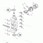 F115TXR Crankshaft Piston
