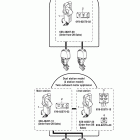 PARTS 2007 RIGGING 20 Dec layout chart (twin)