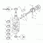 F60TJR Crankshaft Piston
