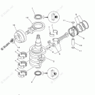 F25ELR Crankshaft Piston