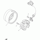 TTR125LE TTR125LED Генератор
