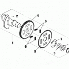 DS 250 NA, EUR & INT 01- balance shaft