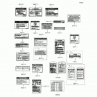 Brute Force 300 (KVF300-CGF) Labels(cn)