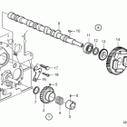 D1-20A Camshaft and gears