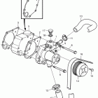D1-20B Водяная помпа