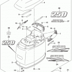 DF200T,Z 225,T,Z 250,T,Z,ST Engine cover (for 0ep) (df250t e03)