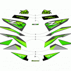 ZR 8000 SNO PRO ES 137 GREEN EARLY BUILD Наклейки