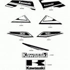 BRUTE FORCE 300 (KVF300CJF) Decals(black)(chf)
