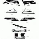 BRUTE FORCE 300 (KVF300CJF) Decals(green)(chf)