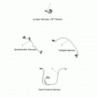 N19CVAAA - CHIEF VINTAGE ALL OPTIONS Electrical, wire harness 2 - n19cvaaa all options (20029...
