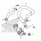 CRF1000A Air injection solenoid