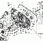 CRF1000D Right crankcase cover(2)