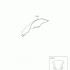 Ninja 400 (EX400GKF) Accessory(windshield)