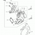 Z125 PRO (BR125JJF) Акселератор