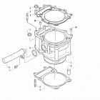 ALTERRA TRV 700 EPS RED [A2020TKT4PUSM] Cylinder assembly [300238]