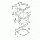 ALTERRA 570 XT EPS RED INTERNATIONAL [A2019XCO1POSM] Cylinder assembly [302117]