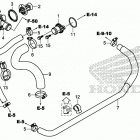 SXS1000M5D 2A Water hose@thermostat